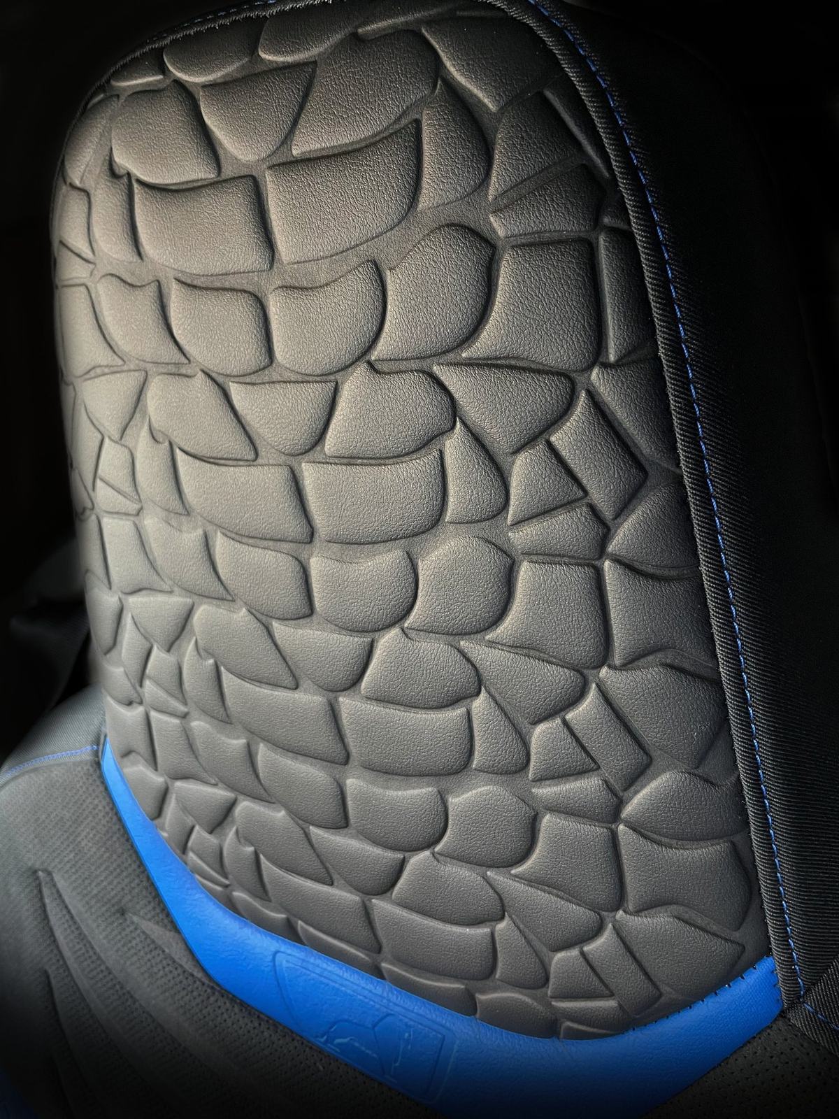MAN Cobra — photo 12 of 12
